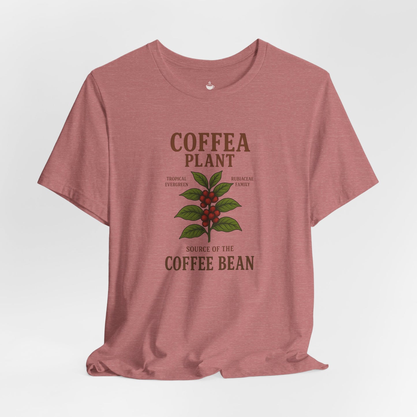 Coffea Plant Source of the Coffee Bean