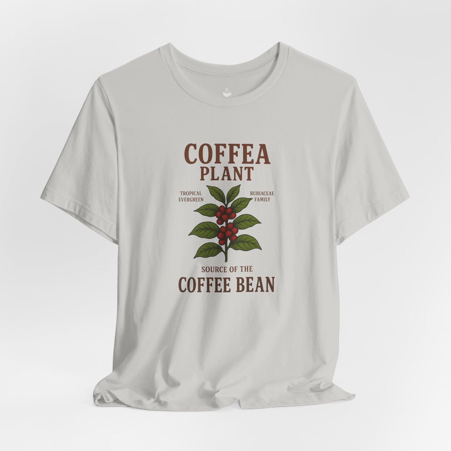 Coffea Plant Source of the Coffee Bean