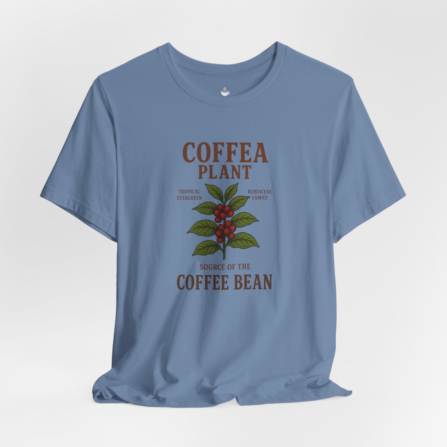 Coffea Plant Source of the Coffee Bean