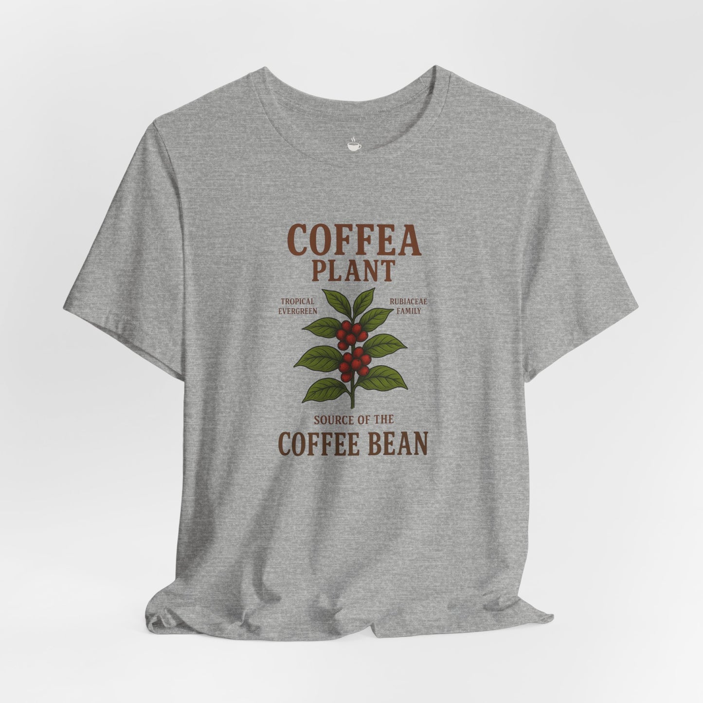 Coffea Plant Source of the Coffee Bean