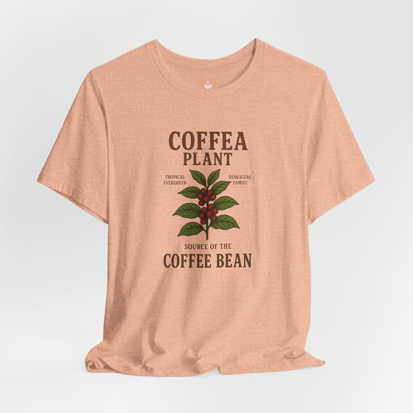 Coffea Plant Source of the Coffee Bean