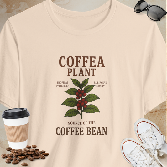 Coffea Plant Source of the Coffee Bean