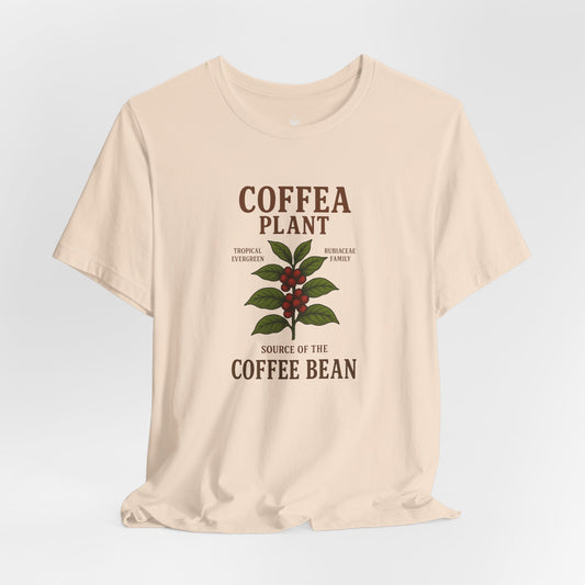 Coffea Plant Source of the Coffee Bean