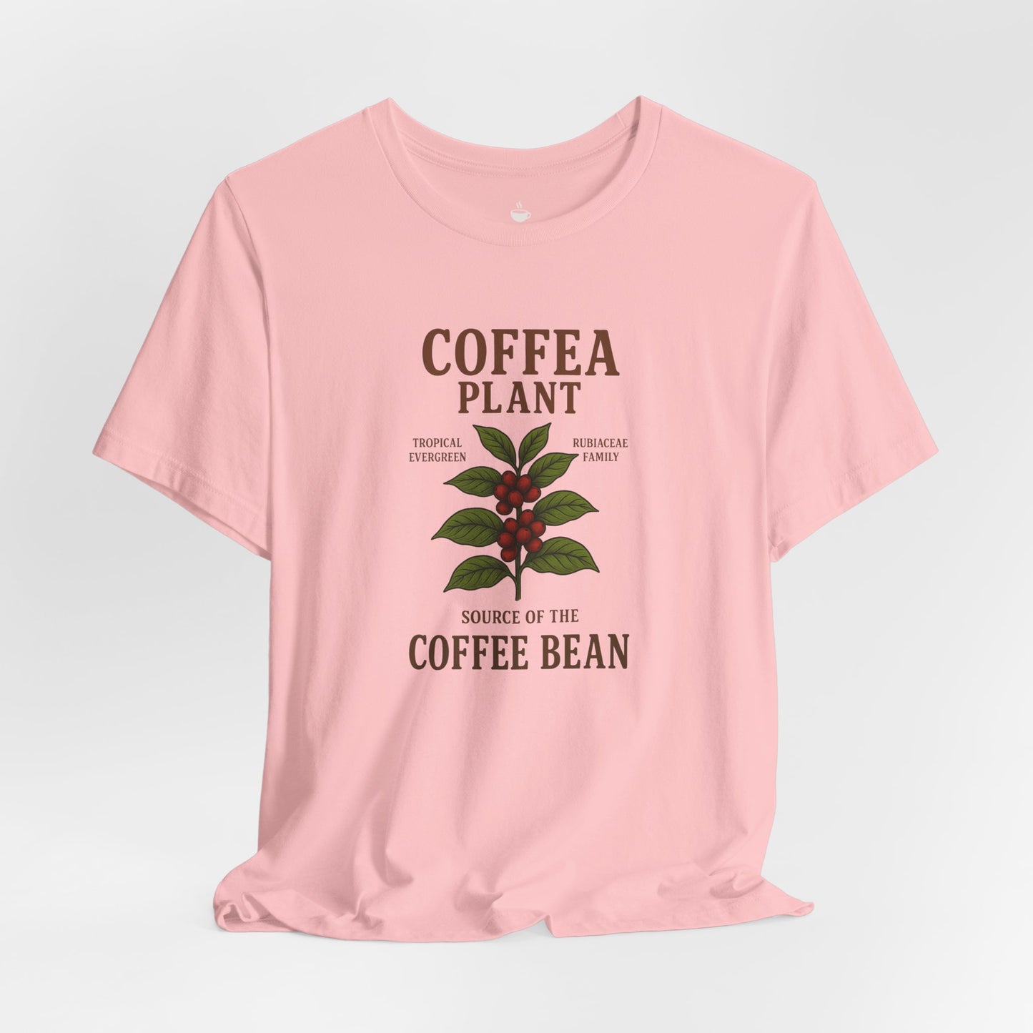 Coffea Plant Source of the Coffee Bean
